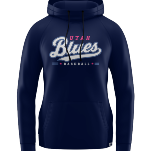 Pro Detroit Hoodie Navy w/Pink